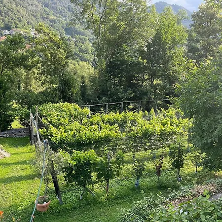 Semesterbostad Rustico Amorini By Fewotessin Cavigliano